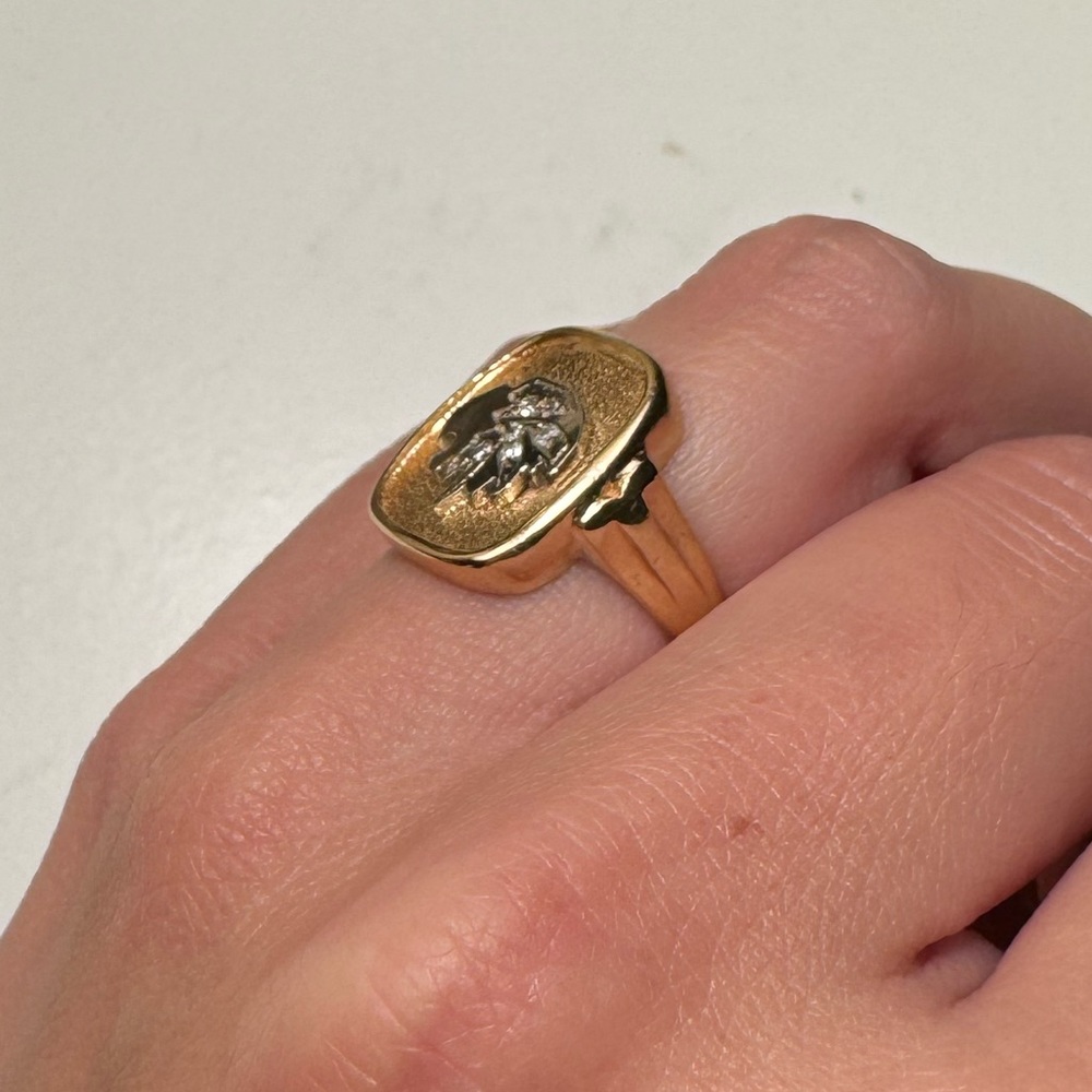 14K Lion’s Head Signet Ring - Picture 3 of 6